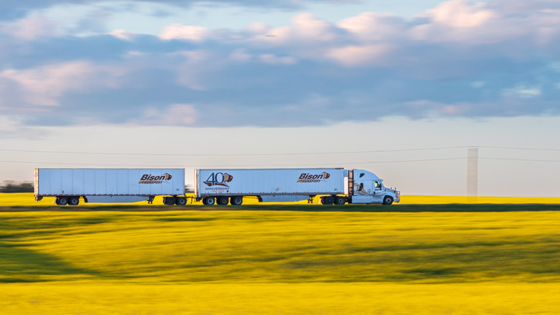 Bison Transport by Andrew March
